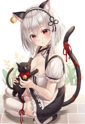 Rule 34 | 1girl, alternate costume, animal, animal ear fluff, animal ears, apron, azur lane, bell, black cat, black footwear, black ribbon, blush, breasts, cat, cat ears, cat girl, cat tail, choker, cleavage, collarbone, commentary request, dress, enmaided, frilled dress, frills, hair between eyes, hair ribbon, hairband, highres, holding, holding animal, holding cat, jingle bell, large breasts, looking at viewer, maid, maid apron, nowsicaa, parted lips, puffy short sleeves, puffy sleeves, red eyes, red ribbon, ribbon, shoes, short hair, short sleeves, sirius (azur lane), solo, squatting, tail, tail ornament, tail raised, tail ribbon, thighhighs, waist apron, white apron, white hair, white thighhighs