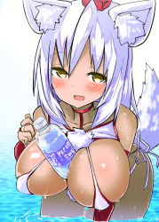 Rule 34 | 1girl, :d, akure ekuto, animal ear fluff, animal ears, between breasts, bikini, blush, bottle, breasts, elbow gloves, fingerless gloves, gloves, highres, inubashiri momiji, large breasts, leaning forward, looking at viewer, open mouth, red gloves, shirt, short hair, smile, solo, string bikini, swimsuit, tail, textless version, touhou, water bottle, wet, white bikini, white hair, white shirt, wolf ears, wolf girl, wolf tail, yellow eyes