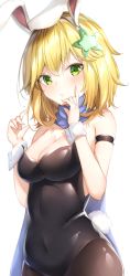 Rule 34 | 1girl, animal ears, bare shoulders, black leotard, blonde hair, blue scarf, breasts, brown pantyhose, cleavage, commentary request, covered navel, fake animal ears, flower, gabriel dropout, green eyes, green flower, hair between eyes, hair flower, hair ornament, hairband, hands up, highres, leotard, medium breasts, pantyhose, playboy bunny, rabbit ears, rabbit tail, scarf, shiero., simple background, solo, strapless, strapless leotard, tail, tapris chisaki sugarbell, white background, white hairband, wrist cuffs
