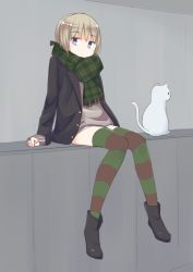 Rule 34 | 1girl, ahoge, animal, ankle boots, blue eyes, boots, cat, hair ribbon, highres, jacket, knees together feet apart, light brown hair, long hair, long sleeves, lynette bishop, plaid, plaid scarf, ribbon, scarf, seedflare, sitting, sleeves past wrists, solo, strike witches, striped clothes, striped thighhighs, thighhighs, world witches series