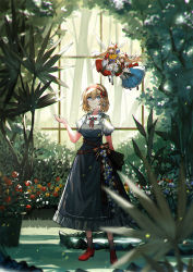 Rule 34 | 1girl, alice margatroid, black dress, blonde hair, blue eyes, blue flower, blurry, blurry foreground, bow, breasts, brooch, clipboard, closed mouth, daisy, day, depth of field, dress, fern, flower, frilled shirt collar, frills, full body, greenhouse, hair between eyes, hair bow, hair flower, hair ornament, hairband, hand up, highres, holding, holding clipboard, jewelry, looking up, medium breasts, red bow, red flower, red footwear, red hairband, red neckwear, red ribbon, red rose, ribbon, rock, rose, scenery, shanghai doll, short hair, smile, solo, standing, touhou, tree, vetina, water, white flower, yellow flower, yellow rose