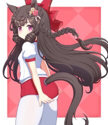 Rule 34 | 1girl, animal ears, ass, black hair, blunt bangs, bow, breasts, buruma, closed mouth, commentary request, daiichi ruby (umamusume), drill hair, flower, hair bow, hair flower, hair ornament, highres, hokuyukis, horse ears, horse girl, horse tail, long braid, looking at viewer, original race uniform (umamusume), pantyhose, red eyes, simple background, small breasts, solo, tail, umamusume