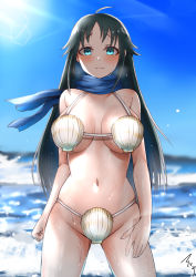 Rule 34 | 1girl, absurdres, aged up, ahoge, artist name, black hair, blue eyes, blue scarf, blue sky, blush, breasts, clear sky, closed mouth, commentary request, cowboy shot, frown, groin, highres, horizon, idolmaster, idolmaster cinderella girls, large breasts, lens flare, long hair, looking at viewer, mabanna, nanjo hikaru, navel, ocean, outdoors, partial commentary, scarf, shell, shell bikini, signature, sky, solo, standing, textless version, waves, wet