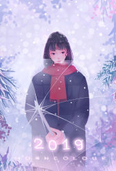 Rule 34 | 1girl, 2019, black coat, black eyes, black hair, coat, highres, holding, holding umbrella, long hair, long sleeves, morncolour, new year, original, plant, red scarf, scarf, smile, snow, solo, transparent, transparent umbrella, umbrella, upper body, winter clothes, winter coat