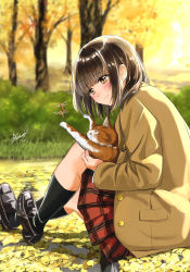 Rule 34 | 1girl, animal, autumn, autumn leaves, black footwear, black legwear, blazer, blurry, blurry background, blush, brown eyes, brown hair, brown jacket, bug, calf socks, cat, commentary request, day, dragonfly, grass, highres, holding, holding animal, holding cat, insect, jacket, knee up, knees up, loafers, looking to the side, on ground, open clothes, open jacket, original, outdoors, plaid, plaid skirt, school uniform, shoes, short hair, signature, sitting, skirt, smile, solo, soragane (banisinngurei)