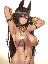 Rule 34 | 1girl, animal ears, anubis (houtengeki), arm guards, armlet, armpits, arms behind head, arms up, bare shoulders, breasts, brown hair, cleavage, collar, covered erect nipples, dark-skinned female, dark skin, egyptian, hands in hair, houtengeki, large breasts, long hair, looking at viewer, navel, one-piece swimsuit, open mouth, original, red eyes, slingshot swimsuit, solo, stomach, strap gap, swimsuit, usekh collar, very long hair, white one-piece swimsuit, white slingshot swimsuit