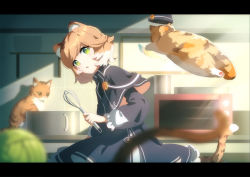 Rule 34 | 1girl, animal ear fluff, animal ears, arknights, black capelet, black dress, blurry, capelet, cat, cat ears, chinese commentary, cowboy shot, dadijiji, depth of field, dress, green eyes, highres, holding, holding whisk, indoors, jumping, letterboxed, looking at viewer, microwave, mousse (arknights), multicolored hair, open mouth, orange hair, pot, short hair, solo, streaked hair, sunlight, two-tone hair, whisk, white hair