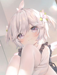 Rule 34 | 1girl, azur lane, blush, chen bin, closed mouth, commentary request, flower, grey hair, hair between eyes, hair flower, hair ornament, highres, hugging own legs, knees up, looking at viewer, mini wings, pantyhose, shirt, sitting, smile, solo, two side up, u-110 (a cute sharky reverie) (azur lane), u-110 (azur lane), white flower, white pantyhose, white shirt, white wings, wings