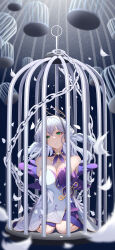 Rule 34 | 1girl, absurdres, arms behind back, bare shoulders, birdcage, cage, chain, choker, collarbone, detached sleeves, dress, facial mark, feathers, green eyes, grey hair, head tilt, highres, honkai: star rail, honkai (series), in cage, long hair, looking at viewer, purple choker, qiyuan yingluo, robin (honkai: star rail), seiza, sitting, solo, strapless, strapless dress, white dress