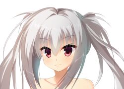 Rule 34 | 1girl, :3, blush, close-up, closed mouth, collarbone, commentary request, dracu-riot!, elena olegovna owen, eyes visible through hair, grey hair, hair between eyes, long hair, looking at viewer, red eyes, simple background, smile, solo, split mouth, tachibana akane (akane780u), twintails, white background