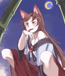 Rule 34 | 1girl, animal ears, bamboo, brown eyes, brown hair, commentary, crescent moon, dress, fingernails, highres, imaizumi kagerou, kanaria (bocmn), long fingernails, long hair, looking at viewer, moon, night, one-hour drawing challenge, red dress, single bare shoulder, solo, squatting, tail, tongue, tongue out, touhou, two-tone dress, white dress, wolf ears, wolf girl, wolf tail