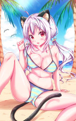 Rule 34 | 1girl, absurdres, animal ears, bad id, bad pixiv id, beach, bikini, breasts, cat ears, cat tail, cleavage, day, fang, highres, large breasts, long hair, looking at viewer, moe2018, navel, original, red eyes, silver hair, solo, striped bikini, striped clothes, swimsuit, tail, tenzeru, thighs