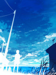 Rule 34 | 1girl, blue theme, cloud, contrail, grass, house, isobe toast, monochrome, ocean, original, power lines, scenery, short hair, silhouette, sky, solo, standing, star (sky), starry sky, utility pole, weather vane
