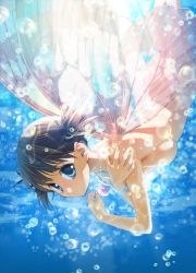 Rule 34 | 1girl, ass, blue eyes, bracelet, breasts, brown hair, butterfly wings, insect wings, jewelry, nipples, nude, original, pendant, revision, short hair, short twintails, solo, tenhiro naoto, twintails, underwater, wings