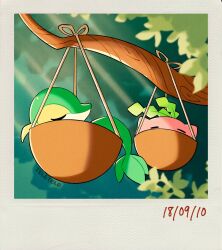 Rule 34 | artist name, branch, closed eyes, commentary, creatures (company), dated, english commentary, flower pot, game freak, gen 2 pokemon, gen 5 pokemon, hanging plant, highres, hoppip, nature, nintendo, no humans, outdoors, pokemon, pokemon (creature), sleeping, snivy, teletelo