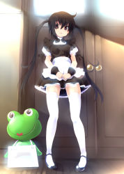 Rule 34 | 1girl, alternate costume, apron, black hair, bloom, brown eyes, dress, enmaided, frog, k-on!, long hair, looking at viewer, maid, maid apron, nakano azusa, smile, solo, sora to umi, thighhighs, twintails, very long hair, zettai ryouiki