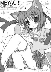 Rule 34 | animal ears, atera, cat ears, greyscale, hat, monochrome, original, panties, solo, striped clothes, striped panties, thighhighs, underwear