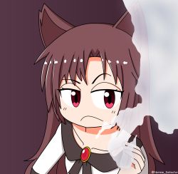 Rule 34 | 1girl, absurdres, animal ears, brooch, brown background, brown hair, collarbone, dress, elon musk, frown, highres, imaizumi kagerou, jewelry, long hair, marijuana, meme, normie detector, photo-referenced, red eyes, simple background, smoke, smoking pipe, solo, touhou, wolf ears