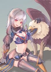 Rule 34 | 1girl, 823/natalia, armor, bikini armor, black gloves, black thighhighs, breasts, chainmail, cleavage, commentary request, cross, cross necklace, feet out of frame, gauntlets, gloves, grey background, griffin, gryphon (ragnarok online), highres, jewelry, large breasts, leg armor, looking at viewer, medium bangs, medium hair, navel, necklace, open mouth, pauldrons, petting, ragnarok masters, ragnarok online, red eyes, royal guard (ragnarok online), shoulder armor, sitting, smile, solo, thighhighs, white hair