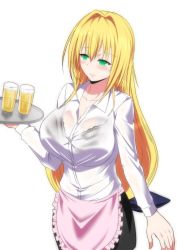 Rule 34 | 1girl, alcohol, beer, beer mug, blonde hair, blush, bra, breasts, closed mouth, cup, embarrassed, game cg, green eyes, hair between eyes, highres, large breasts, long hair, mug, nuko majin, see-through, shirt, skirt, solo, standing, tearju lunatique, to love-ru, to love-ru darkness, transparent background, tray, underwear, waitress, wet, wet clothes, white shirt