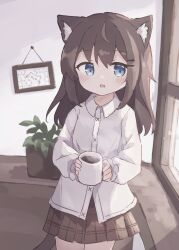 Rule 34 | 1girl, absurdres, animal ears, blue eyes, blush, brown hair, brown skirt, carpet, cat ears, cat girl, cat tail, coffee, coffee mug, collared shirt, colon br, cowboy shot, cup, drawing (object), drink, dutch angle, hair between eyes, hair ornament, hairclip, highres, holding, holding cup, indoors, legs together, long hair, long sleeves, looking at viewer, miniskirt, mug, open mouth, original, own hands together, picture frame, plant, pleated skirt, potted plant, shirt, sidelocks, skirt, smile, solo, tail, white shirt, window