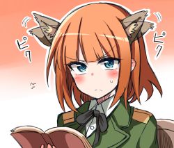 Rule 34 | &gt;:(, 10s, 1girl, animal ears, blue eyes, blunt bangs, blush, brave witches, brown hair, chair, frown, gradient background, gundula rall, himiya jouzu, military, military uniform, short hair, sitting, solo, sound effects, sweatdrop, uniform, v-shaped eyebrows, wolf ears, world witches series