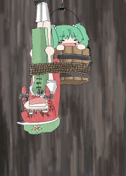 Rule 34 | 2girls, braid, bucket, chain, china dress, chinese clothes, dress, falling, female focus, green eyes, green hair, hair between eyes, hanging, hong meiling, in bucket, in container, kisume, multiple girls, rope, socks, touhou, twin braids