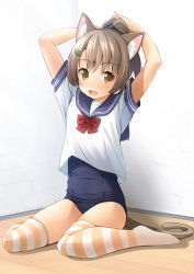 Rule 34 | 1girl, animal ears, blue one-piece swimsuit, blue sailor collar, bow, brown eyes, brown hair, cat ears, cat tail, commentary request, corner, full body, highres, long hair, looking at viewer, no pants, old school swimsuit, one-piece swimsuit, original, ponytail, red bow, sailor collar, sailor shirt, school swimsuit, school uniform, serafuku, shibacha, shirt, sitting, smile, solo, striped clothes, striped thighhighs, swimsuit, swimsuit under clothes, tail, thighhighs, wariza