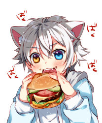 Rule 34 | 1boy, animal ear fluff, animal ears, burger, cat boy, cat ears, commentary, eating, english commentary, food, ginjiro (ginziro525), ginjiro (vtuber), hair between eyes, heterochromia, holding, holding food, indie virtual youtuber, male focus, meal, silver hair, teeth, virtual youtuber, white background