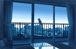 Rule 34 | animal, balcony, bird, blue sky, blue theme, building, carpet, city, cityscape, couch, crow, curtains, day, gensuke (ryun), house, indoors, no humans, original, pillow, reflection, scenery, sky, sliding doors, sunlight, table, window, wooden floor