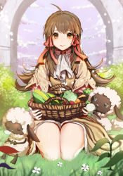 Rule 34 | 1girl, :3, ahoge, arch, basket, black eyes, blurry, blush, brown dress, brown eyes, brown hair, cabbage, carrot, closed mouth, cloud, corn, day, depth of field, donique (vaniilya), dress, flipped hair, food, fruit, full body, grass, hair ribbon, highres, holding, holding food, lettuce, long hair, looking at viewer, mana (rune factory), outdoors, outstretched arms, plant, red ribbon, ribbon, rune factory, rune factory 2, seiza, sheep, sitting, sketch, sky, sleeping, smile, sparkle, standing, strawberry, turnip