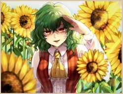 Rule 34 | 1girl, arm up, ascot, blush, breasts, buttons, center frills, collared shirt, commentary request, crossed bangs, day, flower, frills, garden of the sun, kazami yuuka, large breasts, leaf, long sleeves, looking at viewer, nr myt, open mouth, outdoors, parted lips, petals, plaid, plaid skirt, plaid vest, red skirt, red vest, shirt, skirt, solo, standing, sunflower, sunlight, touhou, upper body, vest, wavy hair, white shirt, wing collar, yellow ascot
