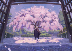 Rule 34 | 1boy, bald, cherry blossoms, cherry tree, commentary request, day, facing away, falling petals, highres, joze, male focus, monk, original, outdoors, petals, robe, sandals, sky, solo, temple, tree