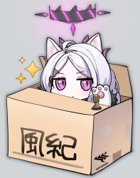 Rule 34 | 1girl, ahoge, animal ear fluff, animal ears, animal hands, blue archive, box, cardboard box, cat ears, cat girl, cat paws, chibi, commentary request, demon girl, demon horns, forehead, fur trim, hair ornament, hairclip, halo, hina (blue archive), horns, in box, in container, kemonomimi mode, long hair, looking at viewer, oomabiblogo2, parted bangs, purple eyes, sidelocks, simple background, solo, sparkle, translation request, useless machine, white hair