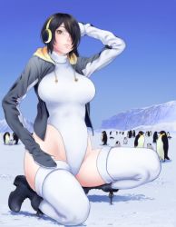 Rule 34 | 1girl, 6+others, bird, black footwear, black hair, blue sky, boots, brown eyes, creature and personification, cross-laced footwear, day, drawstring, emperor penguin, emperor penguin (kemono friends), full body, gradient sky, hair over one eye, headphones, highleg, highleg leotard, hood, hoodie, itou korosuke, kemono friends, lace-up boots, leotard, long hair, looking at viewer, mountain, multicolored hair, multiple others, open clothes, open hoodie, outdoors, penguin, sky, squatting, streaked hair, thick thighs, thighhighs, thighs, white leotard, white thighhighs