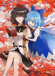 Rule 34 | 2girls, autumn leaves, black hair, blue eyes, blue hair, branch, cirno, colored eyelashes, dress, hair ribbon, hand on another&#039;s shoulder, hat, highres, ice, ice wings, crossed legs, minakata sunao, multiple girls, neck ribbon, notebook, one eye closed, open mouth, pom pom (clothes), red eyes, ribbon, shameimaru aya, short hair, sitting, skirt, smile, tokin hat, touhou, tree, wings