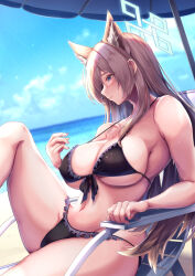 Rule 34 | 1girl, absurdres, animal ears, bikini, black bikini, blue archive, blue eyes, blue sky, blush, breasts, brown hair, cleavage, closed mouth, collarbone, commentary request, from side, halo, highres, kanna (blue archive), large breasts, long hair, long sleeves, ocean, outdoors, parasol, saboten teishoku, sitting, sky, solo, swimsuit, umbrella, water