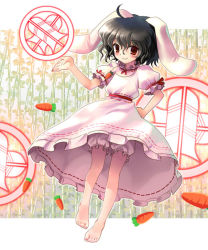 Rule 34 | 1girl, animal ears, barefoot, black hair, bloomers, carrot, dress, feet, female focus, food-themed clothes, full body, hand on own hip, hip focus, inaba tewi, jewelry, katahira masashi, pendant, rabbit ears, red eyes, solo, touhou, underwear, white background, white bloomers