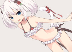 Rule 34 | 1girl, animal ear fluff, animal ears, azur lane, bad id, bad pixiv id, bare arms, bare shoulders, bikini, bikini top only, black bow, blue eyes, blush, bow, breasts, brown background, cat ears, cat girl, cat tail, commentary request, coraman, dutch angle, fang, frilled bikini, frills, gluteal fold, hammann (azur lane), hammann (rebellious summer) (azur lane), leaning forward, open mouth, red bikini, red ribbon, ribbon, silver hair, simple background, small breasts, solo, swimsuit, tail, tail ornament, tail raised, tail ribbon, twintails, v-shaped eyebrows, wavy mouth