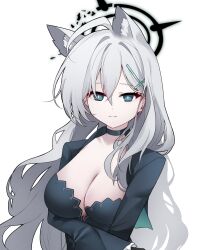 Rule 34 | 1girl, ahoge, animal ear fluff, animal ears, aqua eyes, bagjeomlye88315, black choker, black dress, black jacket, blue archive, breasts, choker, cleavage, collarbone, cropped jacket, cross hair ornament, dress, extra ears, grey hair, hair ornament, halo, highres, jacket, large breasts, light smile, long hair, looking at viewer, mismatched pupils, shiroko (blue archive), shiroko terror (blue archive), simple background, solo, upper body, very long hair, white background, wolf ears