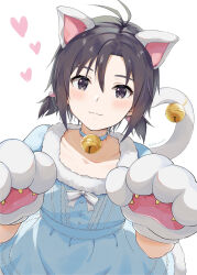 Rule 34 | 1girl, :3, animal ears, animal hands, antenna hair, bell, black eyes, black hair, blue collar, blue dress, blush, bow, buttons, cat ears, cat tail, collar, collarbone, commentary request, dress, flat chest, fur-trimmed dress, fur trim, gloves, hands up, heart, idolmaster, idolmaster (classic), jingle bell, kikuchi makoto, looking at viewer, mogskg, paw gloves, short hair, short twintails, sidelocks, smile, solo, tail, tail bell, tail ornament, twintails, twitter username, white background, white bow, white gloves