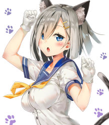 Rule 34 | 10s, 1girl, :o, animal ears, blue eyes, blush, breasts, cat ears, cat girl, etonato, female focus, gloves, hair ornament, hair over one eye, hairclip, hamakaze (kancolle), impossible clothes, impossible shirt, kantai collection, kemonomimi mode, large breasts, looking at viewer, maji (etonato), paw pose, paw print, school uniform, serafuku, shirt, short hair, silver hair, solo, tail, white gloves