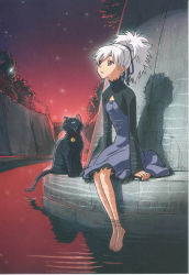 Rule 34 | 00s, absurdres, arms at sides, barefoot, black cat, cat, darker than black, dress, full body, highres, iwahara yuuji, mao (darker than black), outdoors, plant, scan, shrug (clothing), sitting, solo, star (sky), white hair, yin (darker than black), yuji iwahara