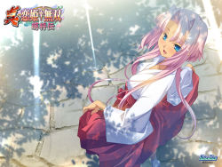 Rule 34 | 1girl, from above, japanese clothes, koihime musou, miko, pink hair, solo, sonken