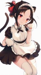 Rule 34 | 1girl, alternate costume, animal ears, animal hands, apron, black dress, black hair, blush, breasts, cat ears, cat girl, cat tail, commentary request, dress, flying sweatdrops, folded ponytail, frills, gloves, hair ribbon, highres, kaguya-sama wa kokurasetai ~tensai-tachi no renai zunousen~, looking at viewer, maid, maid headdress, medium breasts, parted bangs, paw gloves, puffy short sleeves, puffy sleeves, red eyes, red ribbon, ribbon, school uniform, shinomiya kaguya, short hair, short sleeves, sidelocks, simple background, solo, striped, tail, thighhighs, white apron, white background, white gloves, white thighhighs, yennineii