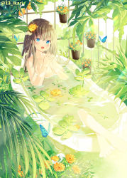 Rule 34 | 1girl, :d, animal, barefoot, bath, bathing, bathtub, blue eyes, blush, breasts, brown hair, bug, butterfly, collarbone, commentary request, flower, flower on liquid, flower pot, hair between eyes, hair flower, hair ornament, hands up, highres, ikari (aor3507), indoors, insect, large breasts, long hair, looking at viewer, open mouth, orange flower, original, partially submerged, smile, solo, steepled fingers, twitter username, water