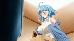 Rule 34 | 10s, 1girl, animated, animated gif, blue hair, breast expansion, breasts, third-party edit, female focus, harpy, large breasts, monster girl, monster musume no iru nichijou, papi (monster musume), reversed, short hair, small breasts, solo, third-party edit, wings