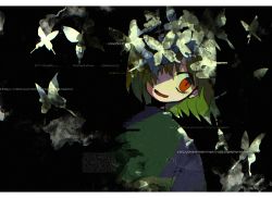 Rule 34 | 1other, bad id, bad pixiv id, black background, border, brown hair, bug, butterfly, chara (undertale), glitch, green sweater, hair between eyes, hair over one eye, insect, open mouth, red eyes, simple background, solo, soumenhiyamugi, sweater, transparent border, undertale, upper body, white butterfly