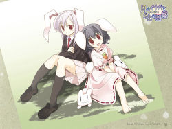 Rule 34 | 2girls, animal ears, arata toshihira, barefoot, rabbit, rabbit ears, female focus, inaba of the moon and inaba of the earth, inaba tewi, multiple girls, reisen udongein inaba, touhou, wallpaper