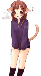 Rule 34 | 1girl, animal ears, breath, brown eyes, brown hair, cat ears, cat tail, cold, no pants, solo, tail, trembling
